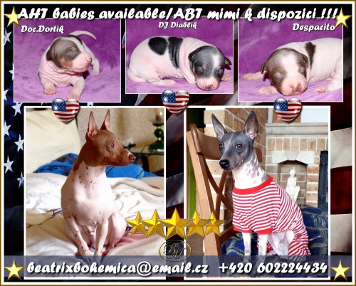 vrh-d-vizitka-s-mym-podpisem.jpg