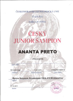 juniorsampion-anynky-001.jpg
